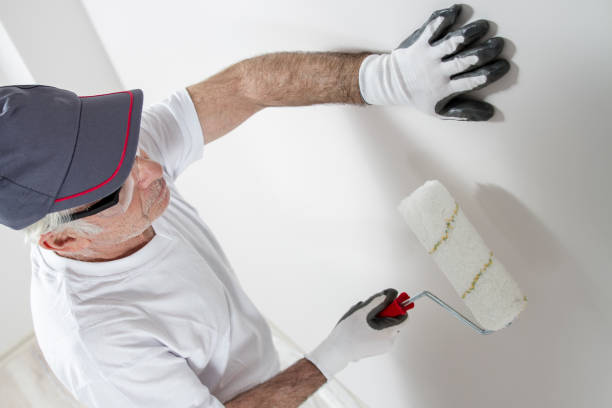 Best Commercial Painting Services  in USA