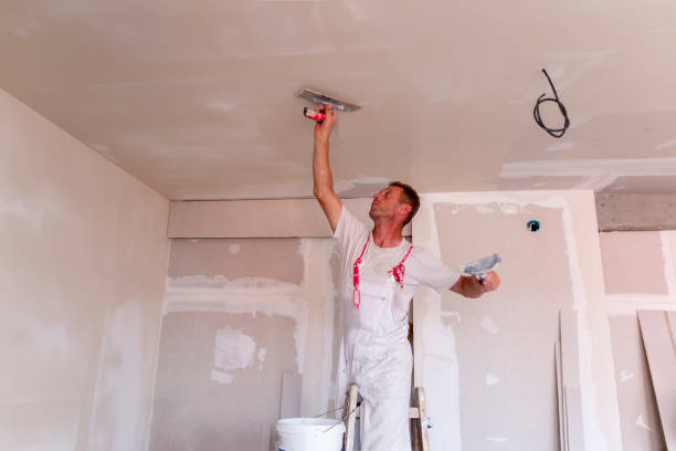 Best Commercial Painting Services  in USA